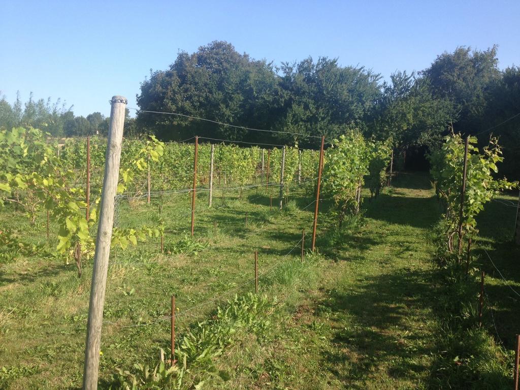 Kildegaarden Bed&Breakfast Frorup Rom bilde